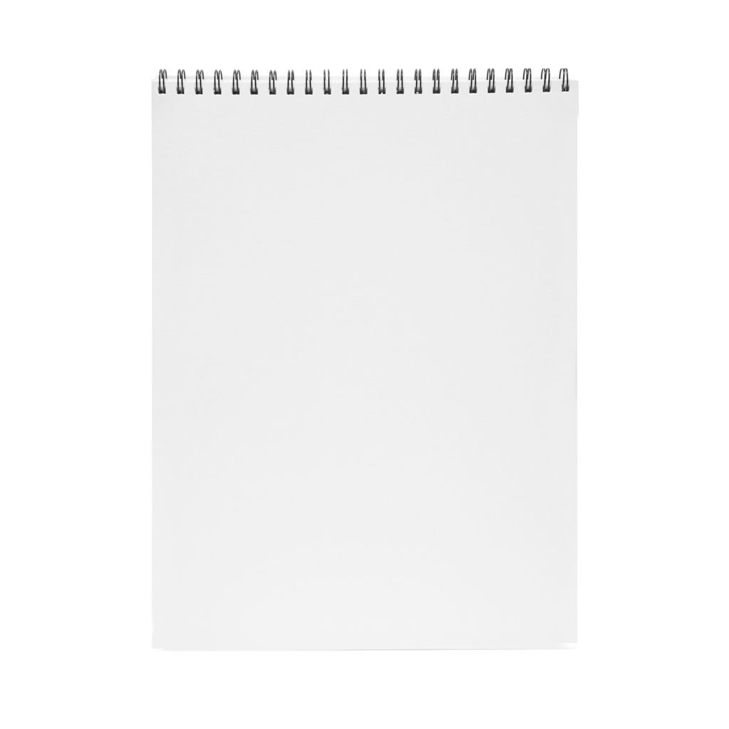 Scholar Artists' Pad Novice - A3 (29.7 cm x 42 cm or 11.7 in x 16.5 in) Natural White Smooth 130 GSM, Spiral Pad of 50 Sheets