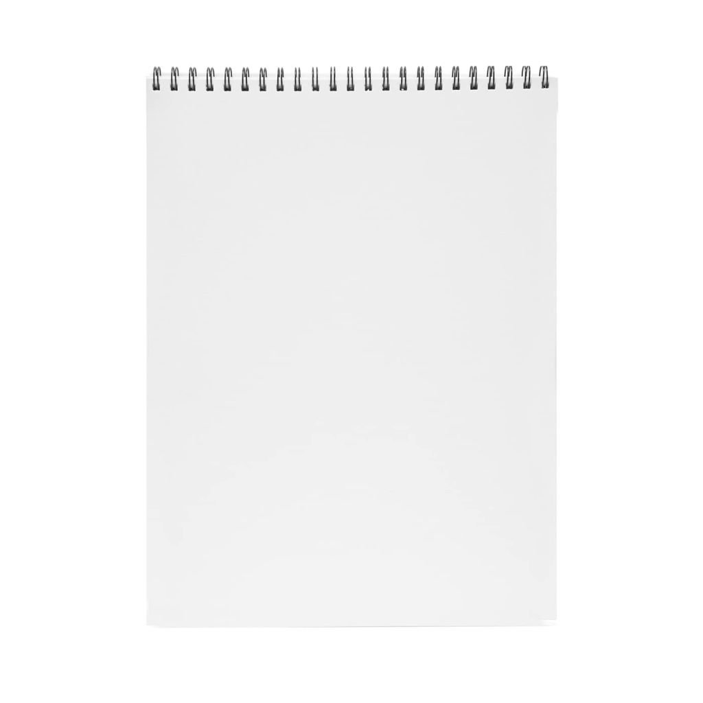 Scholar Artists' Pad Expert - A3 (29.7 cm x 42 cm or 11.7 in x 16.5 in) Natural White Smooth 220 GSM, Spiral Pad of 30 Sheets