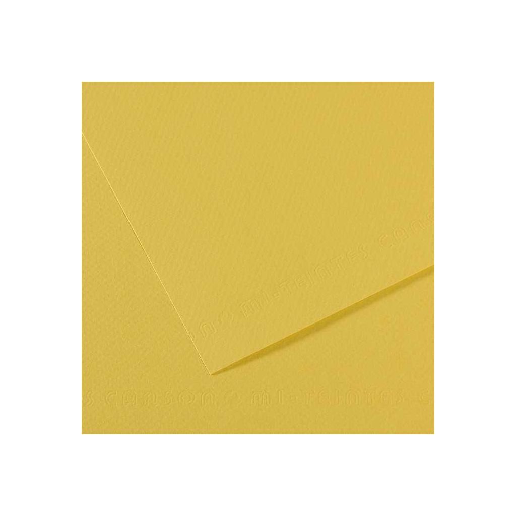 Canson Mi-Teintes Pastel Paper - 50 cm x 65 cm or 19.68'' x 25.59'' - Anis (107) - Honeycomb + Fine Grain 160 GSM - Pack of 25 Sheets