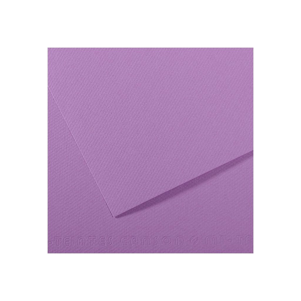 Canson Mi-Teintes Pastel Paper - 50 cm x 65 cm or 19.68'' x 25.59'' - Blueberry (113) - Honeycomb + Fine Grain 160 GSM - Pack of 25 Sheets