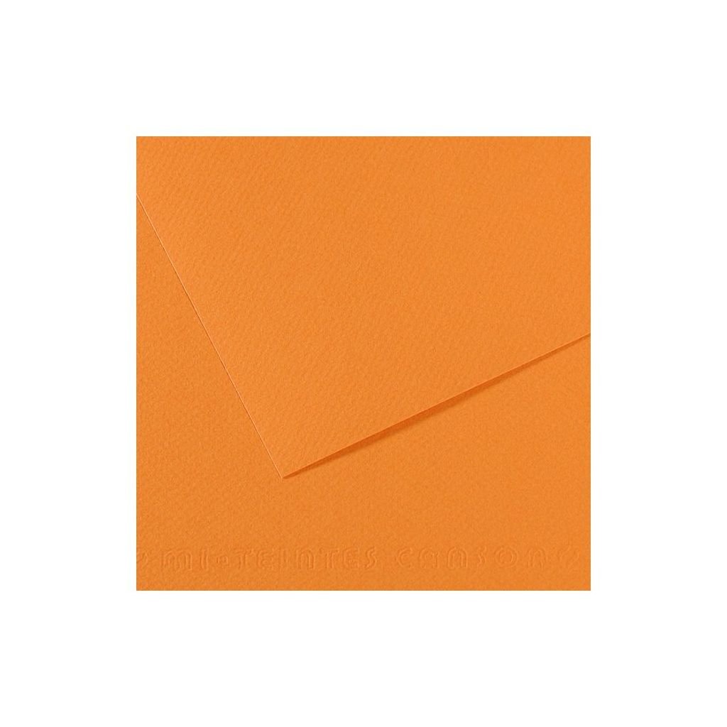 Canson Mi-Teintes Pastel Paper - 50 cm x 65 cm or 19.68'' x 25.59'' - Buff (384) - Honeycomb + Fine Grain 160 GSM - Pack of 25 Sheets