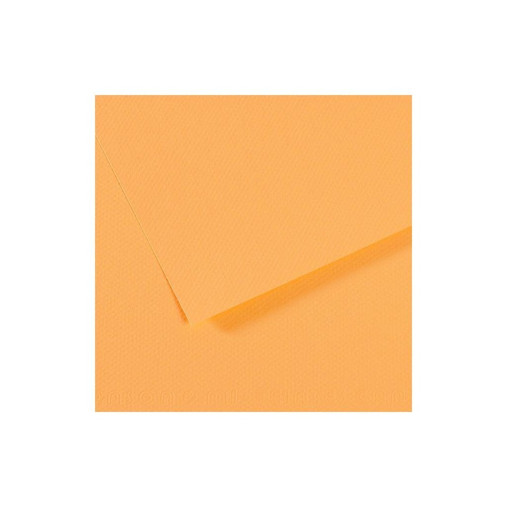 Canson Mi-Teintes Pastel Paper - 50 cm x 65 cm or 19.68'' x 25.59'' - Champagne (470) - Honeycomb + Fine Grain 160 GSM - Pack of 25 Sheets