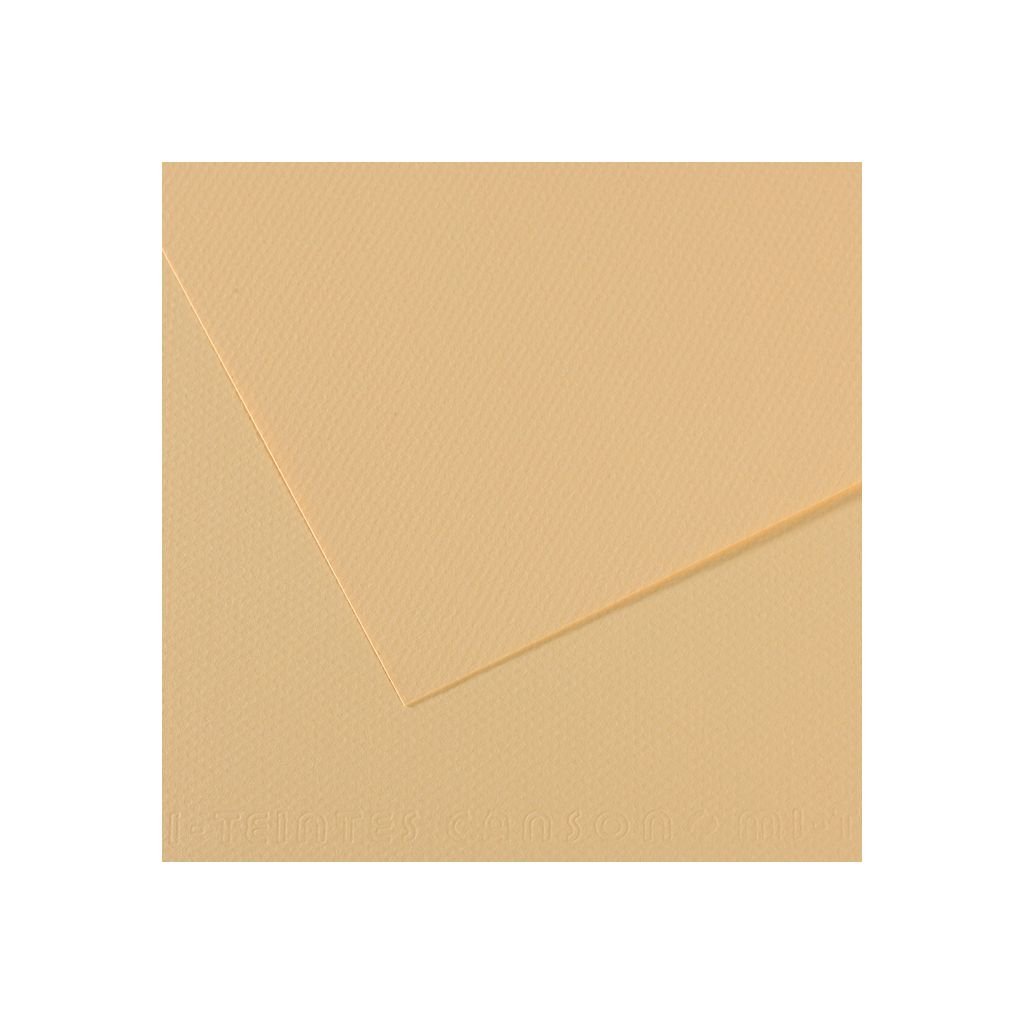 Canson Mi-Teintes Pastel Paper - 50 cm x 65 cm or 19.68'' x 25.59'' - Cream (407) - Honeycomb + Fine Grain 160 GSM - Pack of 25 Sheets