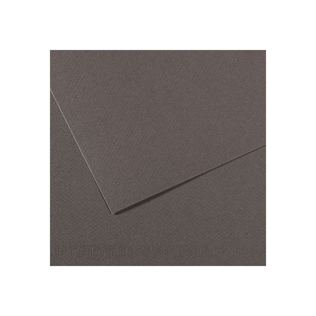 Canson Mi-Teintes Pastel Paper - 50 cm x 65 cm or 19.68'' x 25.59'' - Dark Grey (345) - Honeycomb + Fine Grain 160 GSM - Pack of 25 Sheets