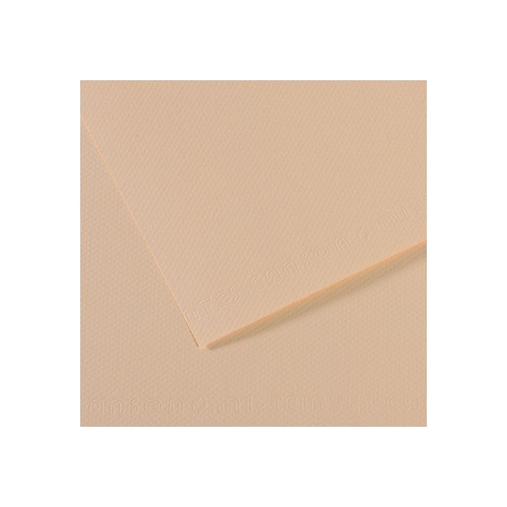 Canson Mi-Teintes Pastel Paper - 50 cm x 65 cm or 19.68'' x 25.59'' - Eggshell (112) - Honeycomb + Fine Grain 160 GSM - Pack of 25 Sheets