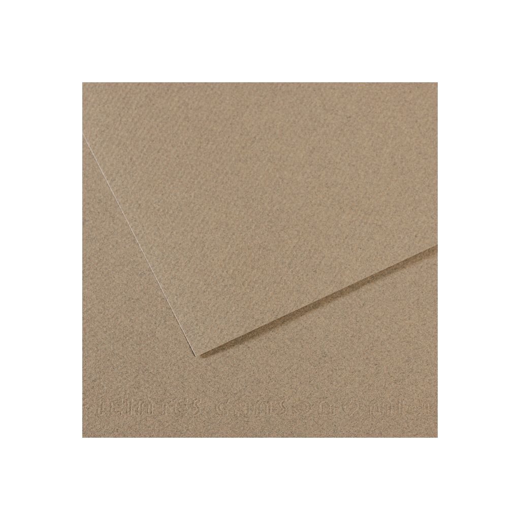 Canson Mi-Teintes Pastel Paper - 50 cm x 65 cm or 19.68'' x 25.59'' - Felt Grey (429) - Honeycomb + Fine Grain 160 GSM - Pack of 25 Sheets