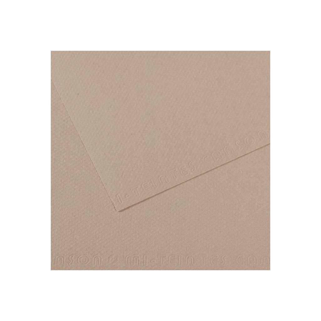 Canson Mi-Teintes Pastel Paper - 50 cm x 65 cm or 19.68'' x 25.59'' - Flannel Grey (122) - Honeycomb + Fine Grain 160 GSM - Pack of 25 Sheets
