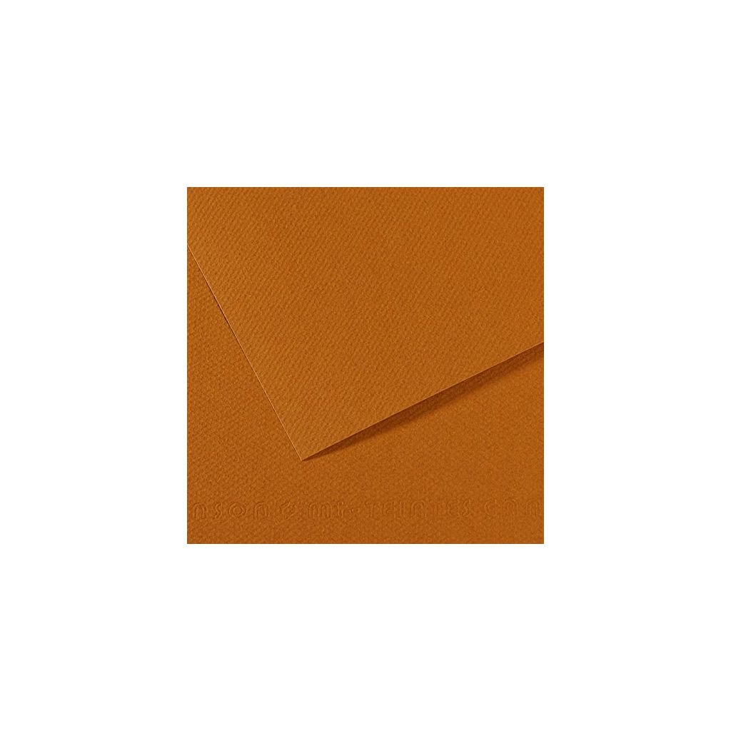 Canson Mi-Teintes Pastel Paper - 50 cm x 65 cm or 19.68'' x 25.59'' - Havana Clear (502) - Honeycomb + Fine Grain 160 GSM - Pack of 25 Sheets