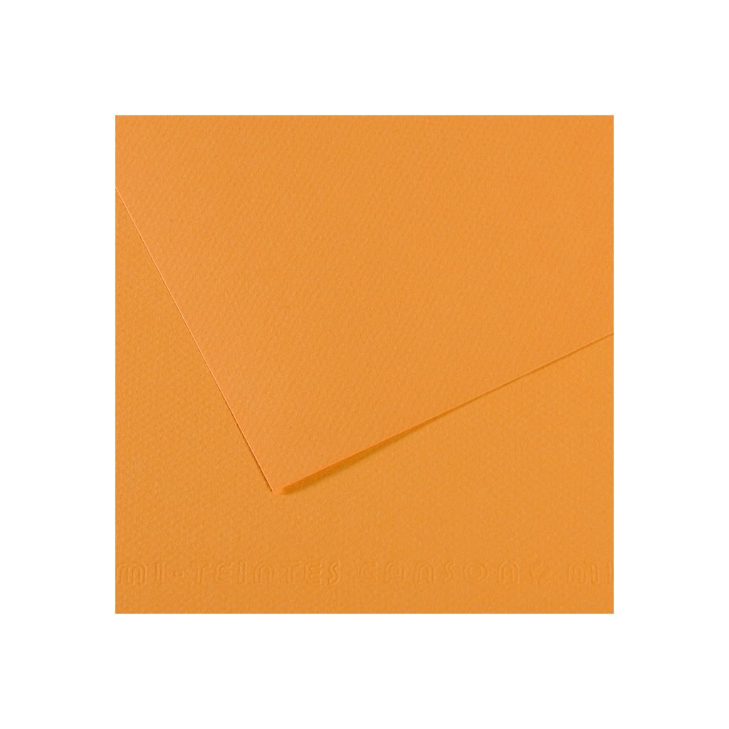 Canson Mi-Teintes Pastel Paper - A4 - Hemp (374) - Honeycomb + Fine Grain 160 GSM - Pack of 10 Sheets