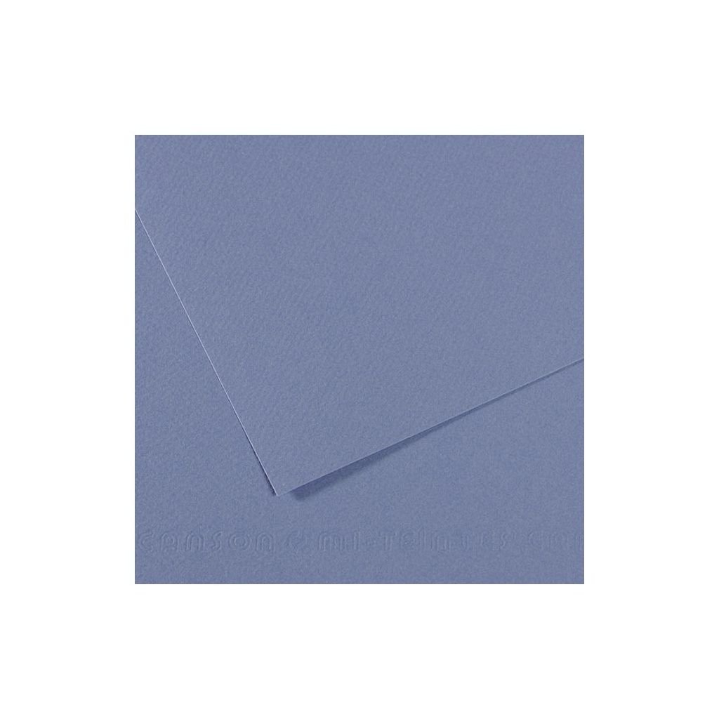 Canson Mi-Teintes Pastel Paper - 50 cm x 65 cm or 19.68'' x 25.59'' - Icy Blue (118) - Honeycomb + Fine Grain 160 GSM - Pack of 25 Sheets