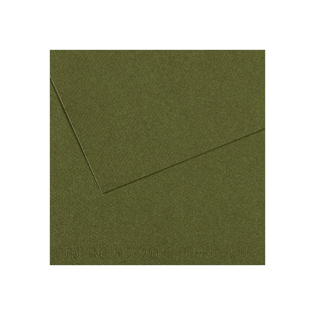 Canson Mi-Teintes Pastel Paper - A4 - Ivy (448) - Honeycomb + Fine Grain 160 GSM - Pack of 10 Sheets