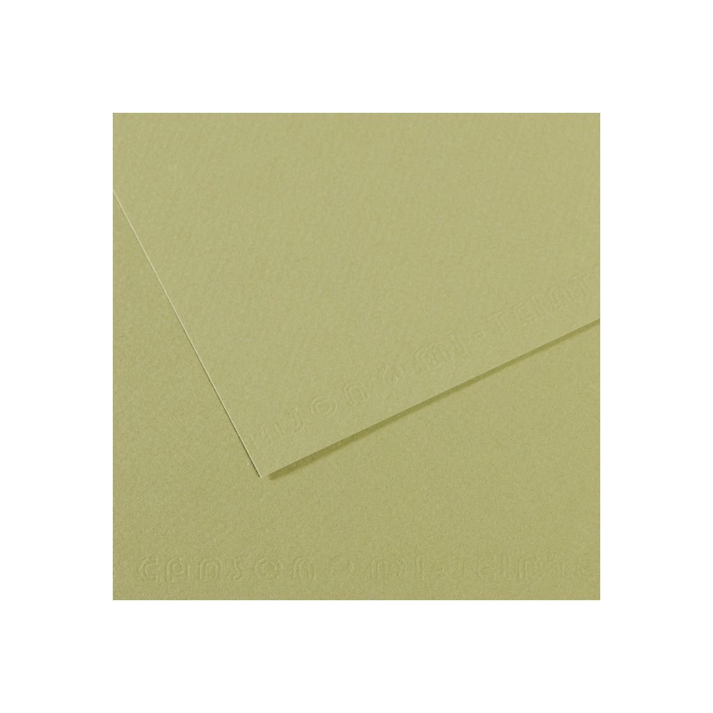 Canson Mi-Teintes Pastel Paper - 50 cm x 65 cm or 19.68'' x 25.59'' - Light Green (480) - Honeycomb + Fine Grain 160 GSM - Pack of 25 Sheets