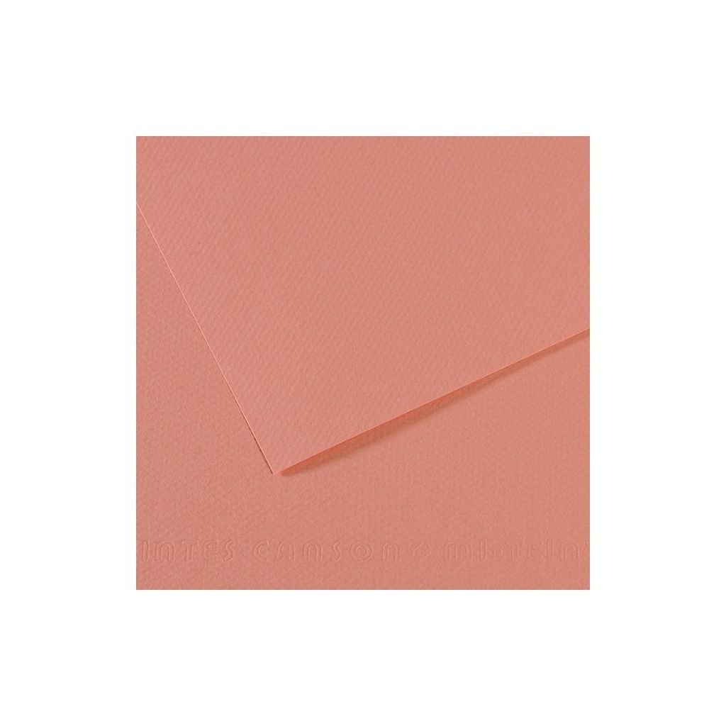 Canson Mi-Teintes Pastel Paper - 50 cm x 65 cm or 19.68'' x 25.59'' - Orchid (352) - Honeycomb + Fine Grain 160 GSM - Pack of 25 Sheets