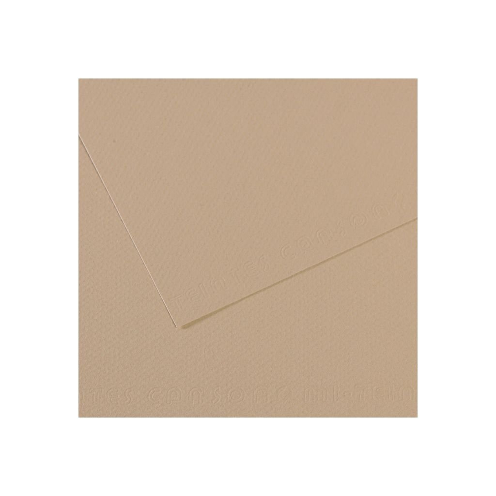 Canson Mi-Teintes Pastel Paper - 50 cm x 65 cm or 19.68'' x 25.59'' - Pearl (343) - Honeycomb + Fine Grain 160 GSM - Pack of 25 Sheets