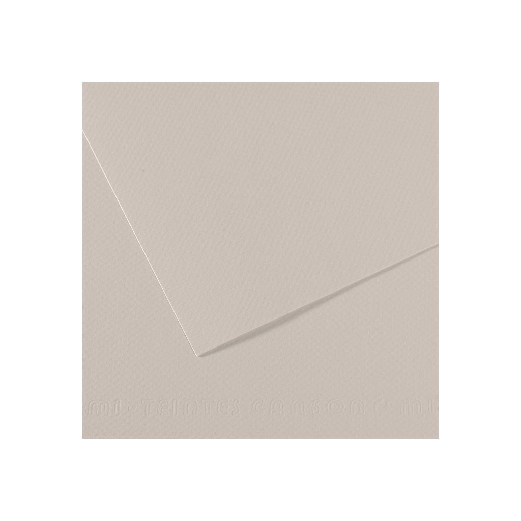 Canson Mi-Teintes Pastel Paper - 50 cm x 65 cm or 19.68'' x 25.59'' - Pearl Grey (120) - Honeycomb + Fine Grain 160 GSM - Pack of 25 Sheets