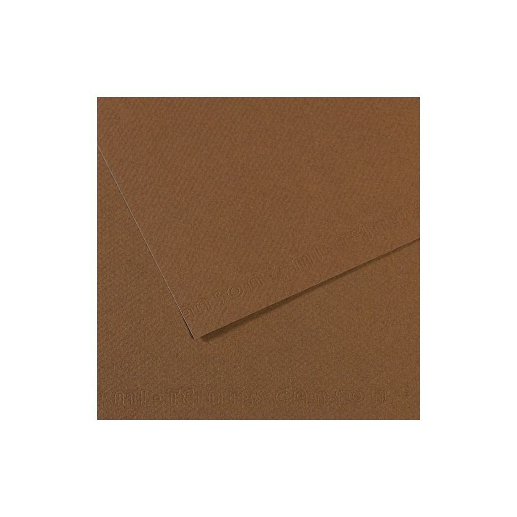 Canson Mi-Teintes Pastel Paper - 50 cm x 65 cm or 19.68'' x 25.59'' - Sepia (133) - Honeycomb + Fine Grain 160 GSM - Pack of 25 Sheets