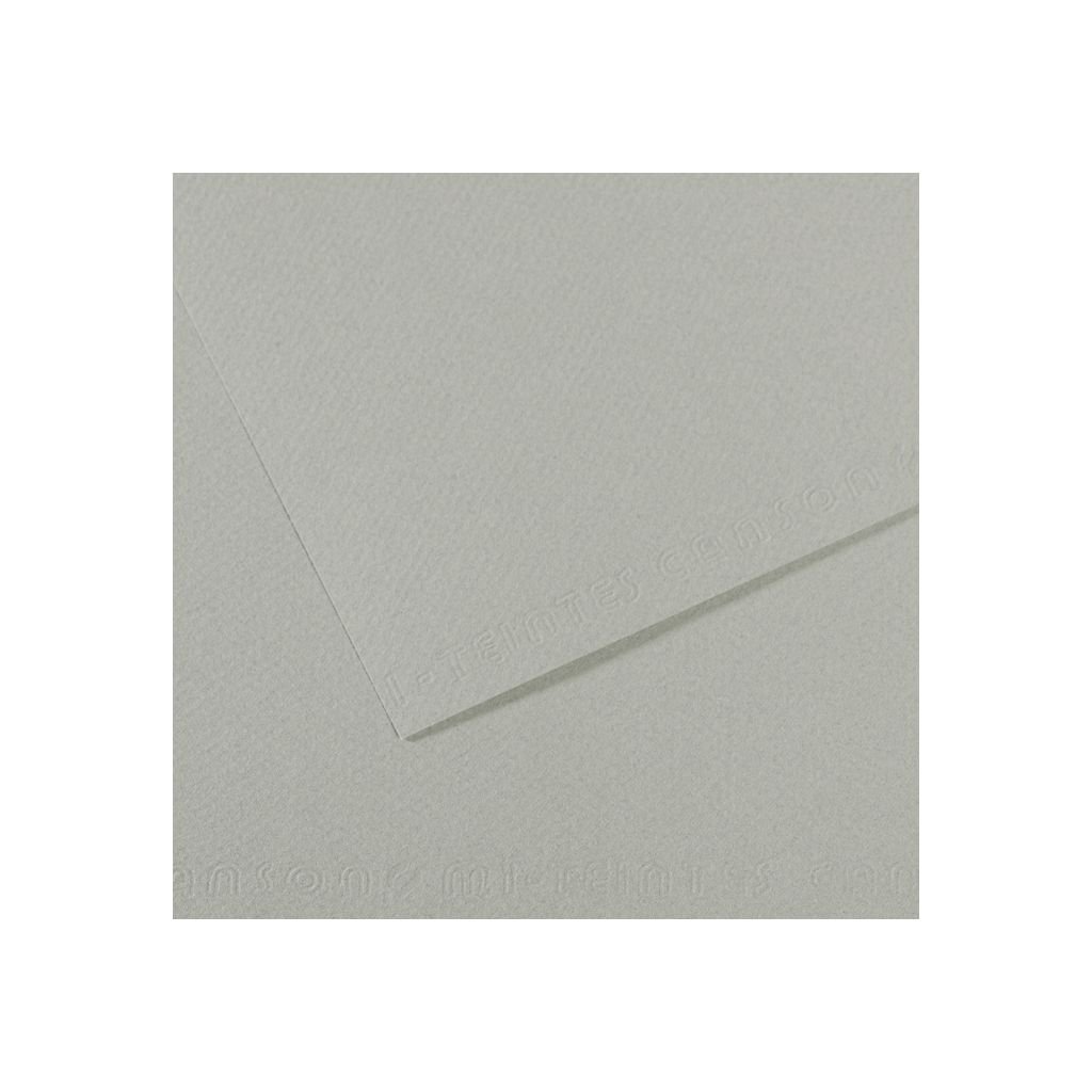 Canson Mi-Teintes Pastel Paper - 50 cm x 65 cm or 19.68'' x 25.59'' - Sky Grey (354) - Honeycomb + Fine Grain 160 GSM - Pack of 25 Sheets