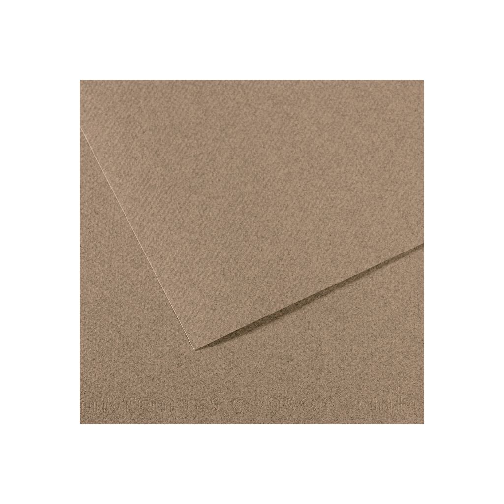Canson Mi-Teintes Pastel Paper - 50 cm x 65 cm or 19.68'' x 25.59'' - Steel Grey (431) - Honeycomb + Fine Grain 160 GSM - Pack of 25 Sheets