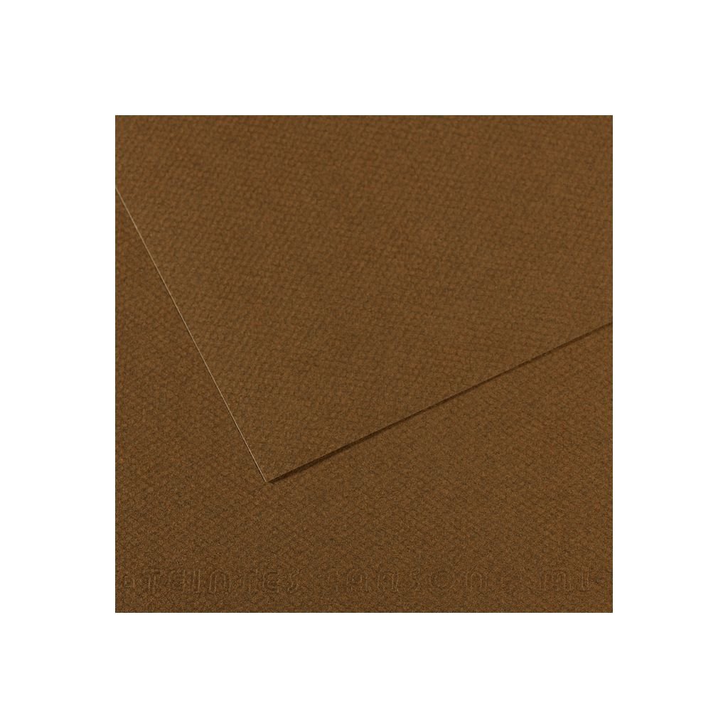 Canson Mi-Teintes Pastel Paper - A4 - Tobacco (501) - Honeycomb + Fine Grain 160 GSM - Pack of 10 Sheets