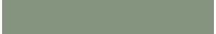 Conte a' Paris Pastel Pencil - Green Grey (051)
