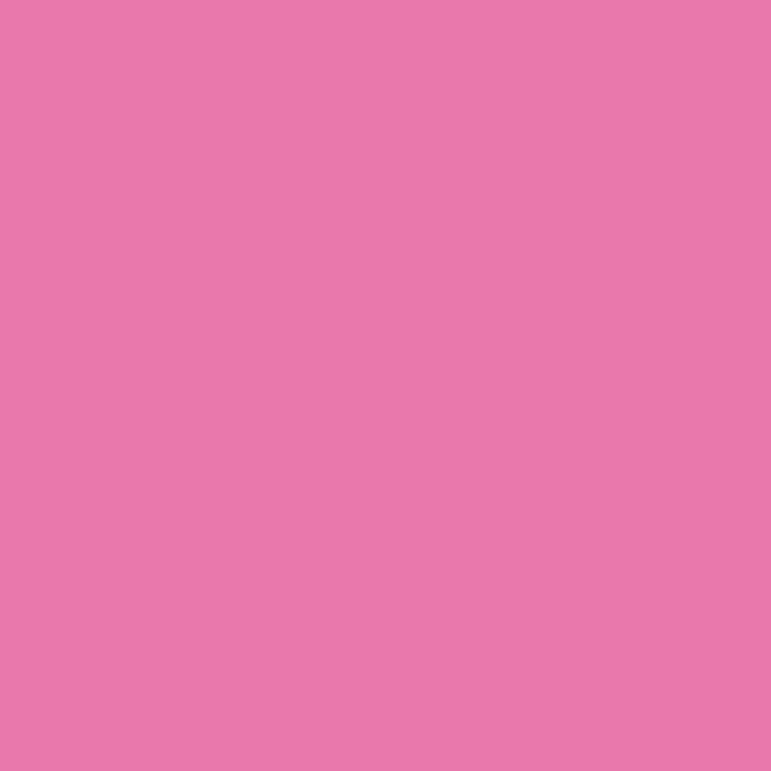 Conte a' Paris Pastel Pencil - Pink (011)