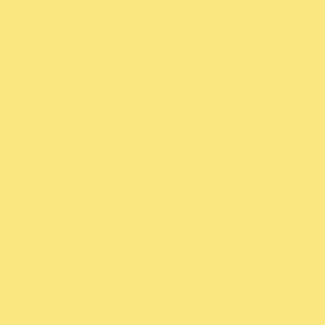 Conte a' Paris Pastel Pencil - Light Yellow (024)