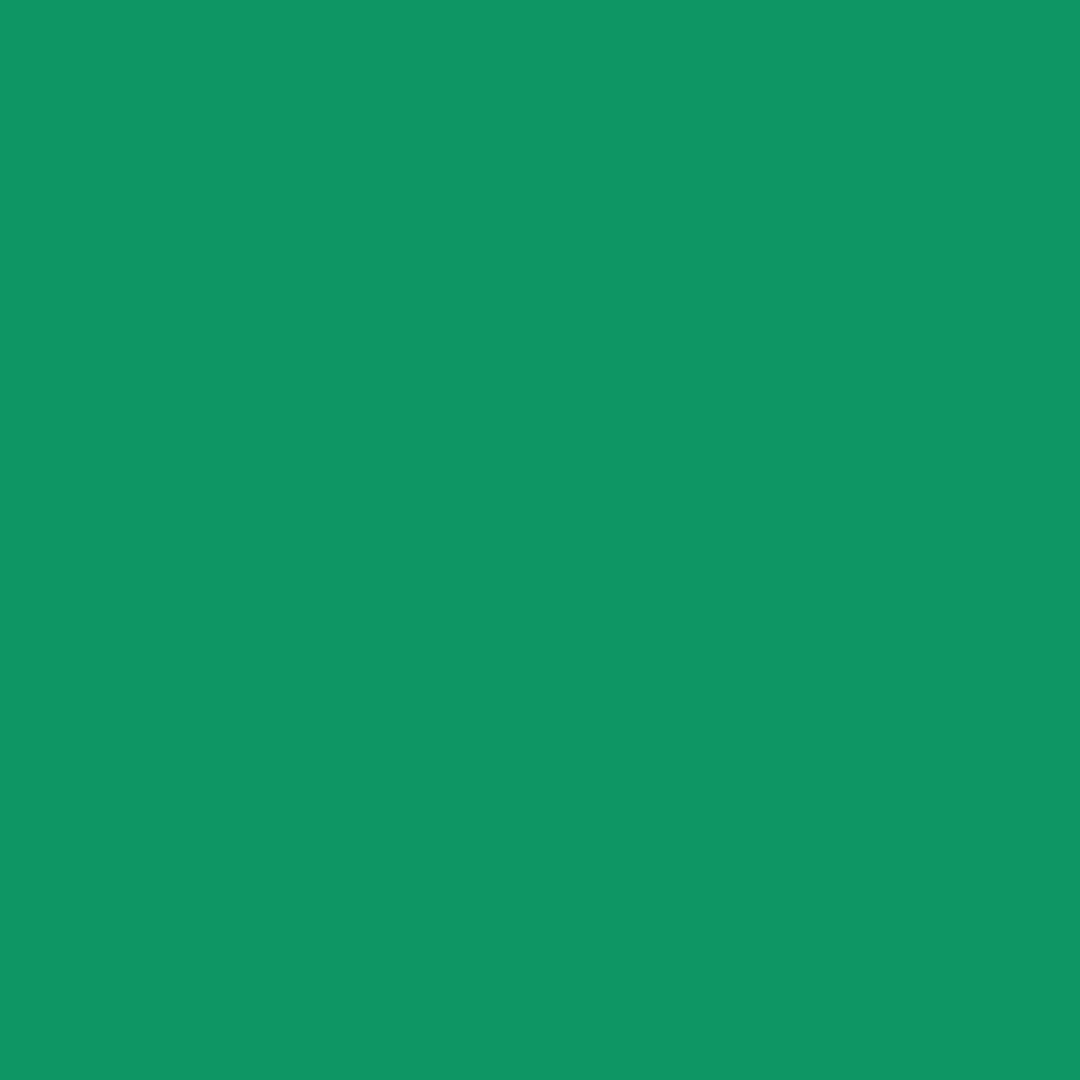 Conte a' Paris Pastel Pencil - Emerald Green (034)