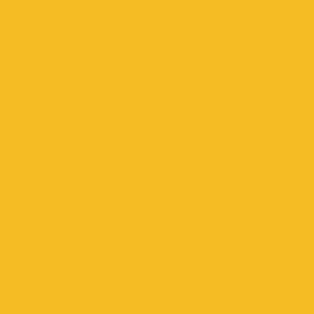 Conte a' Paris Pastel Pencil - Indian Yellow (037)