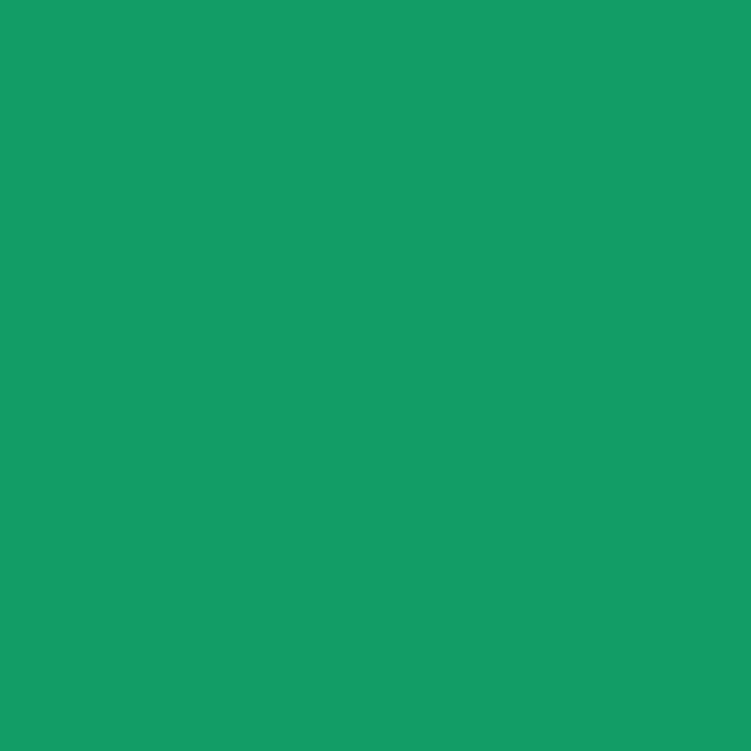 Conte a' Paris Colour Carres Crayons - Dark Green (002)