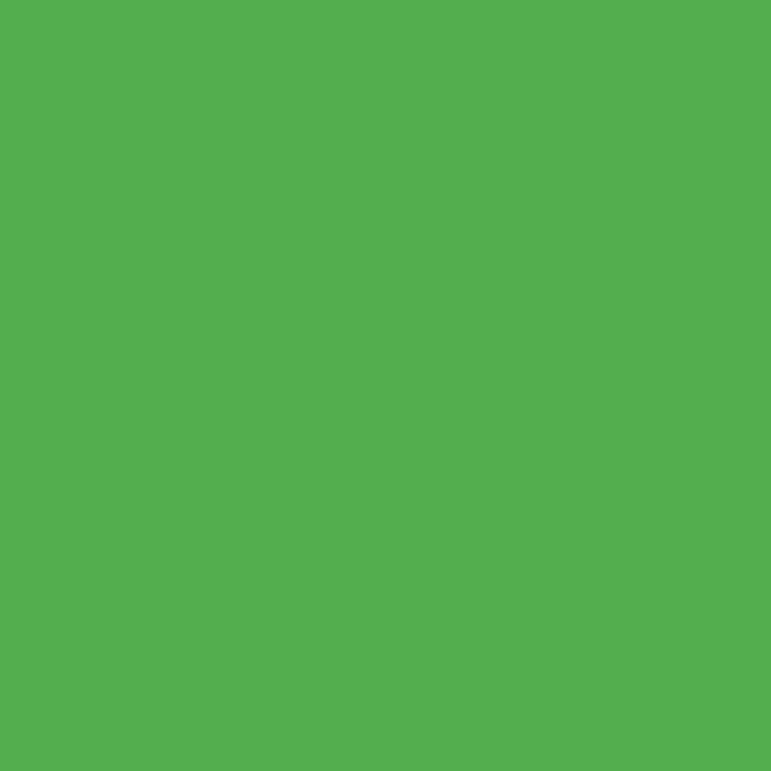 Conte a' Paris Colour Carres Crayons - Light Green (008)