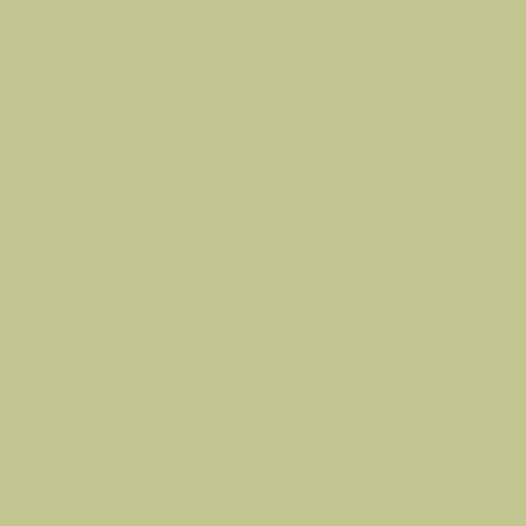 Conte a' Paris Colour Carres Crayons - Green Grey (051)