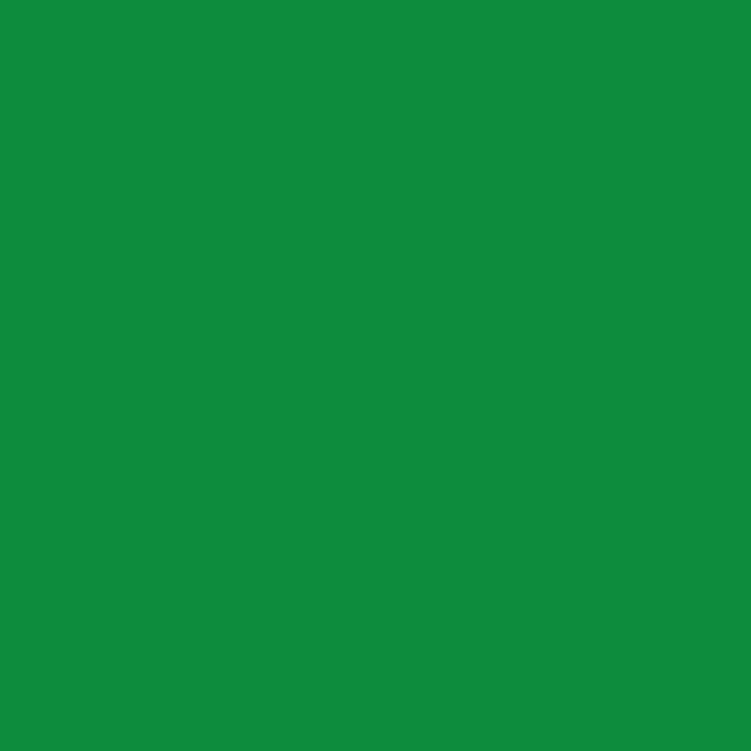 DecoArt Americana Gloss Enamels - Multi-Surface Acrylic Paint - 59 ML (2 Oz) Bottle - Festive Green (230)