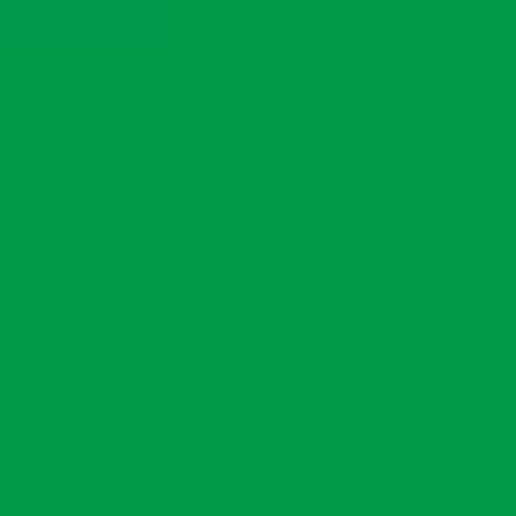 Jacquard Green Label - Silk Colour Dyes - 59 ML (2 Oz) Bottle - Kelly Green (735)