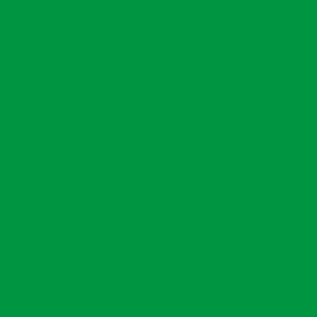 Jacquard Fabric Colours - Dye-Na-Flow - 66.54 ML (2.25 Oz) Bottle - Bright Green (819)