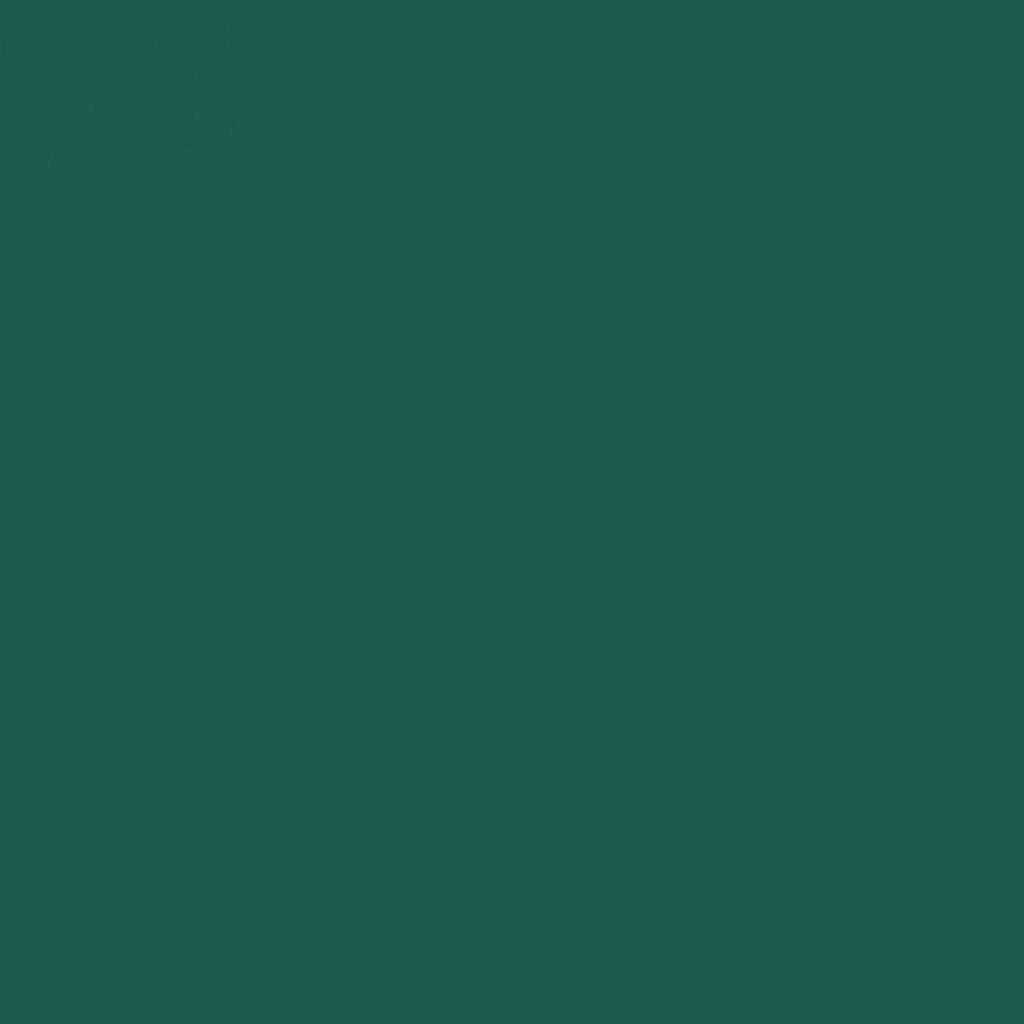 Jacquard Fabric Colours - Procion MX - Fiber Reactive Cold Water Dyes - 18.71 GM (2/3 Oz) Bottle - Forest Green (086)