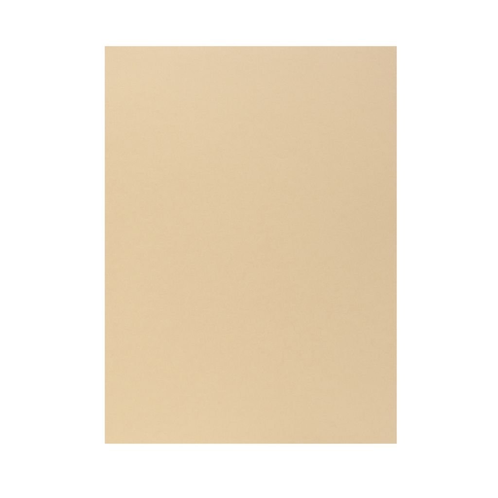 Scholar Artists' Toned Paper Flesh - A5 (14.8 cm x 21 cm or 5.8 in x 8.3 in) Beige Smooth 160 GSM, Poly Pack of 20 Sheets