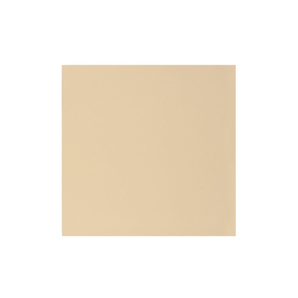 Scholar Artists' Toned Paper Flesh - Square (19.5 cm x 19.5 cm or 7.68 in x 7.68 in) Beige Smooth 160 GSM, Poly Pack of 20 Sheets