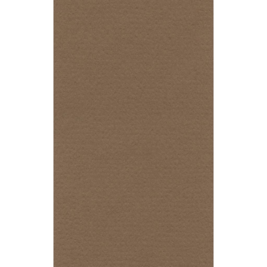 Lana Colour Pastel Paper 45% Cotton - Imperial (50 cm x 65cm or 19.68'' x 25.59'') Bisque - Textured + Smooth 160 GSM - Pack of 10 Sheets