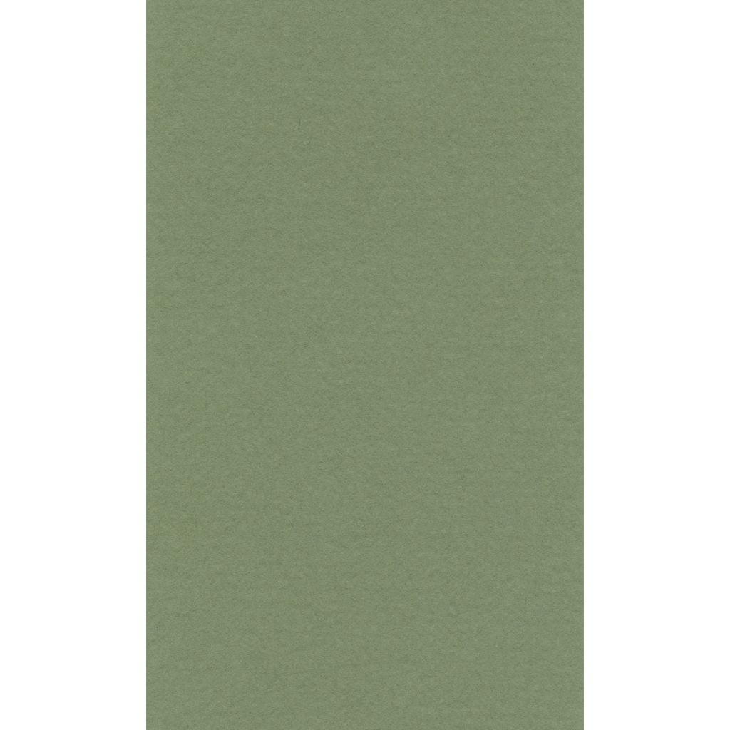 Lana Colour Pastel Paper 45% Cotton - Imperial (50 cm x 65cm or 19.68'' x 25.59'') Sap Green - Textured + Smooth 160 GSM - Pack of 10 Sheets