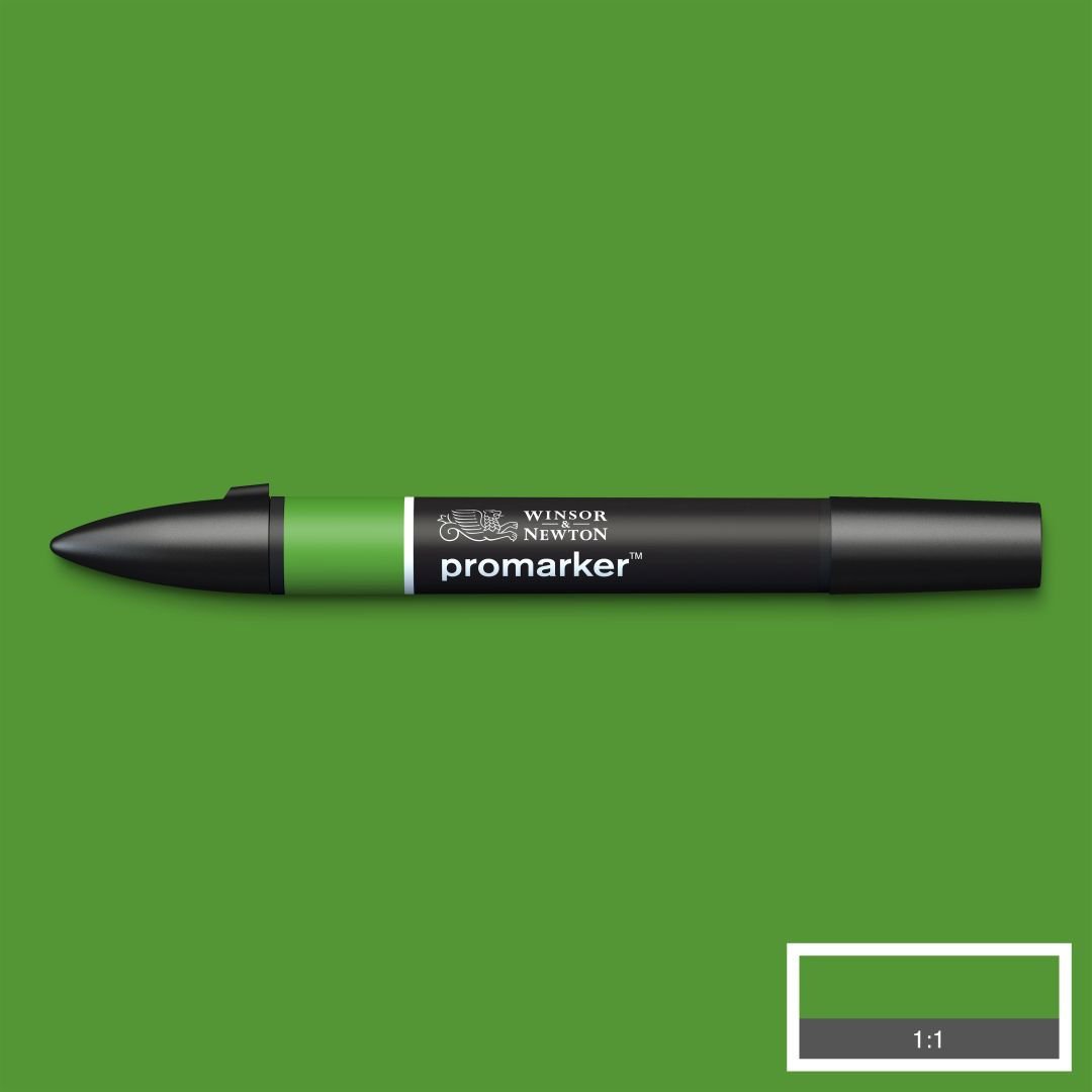 Winsor & Newton Promarker - Alcohol Based - Twin Tip Marker - Forest Green (G356)