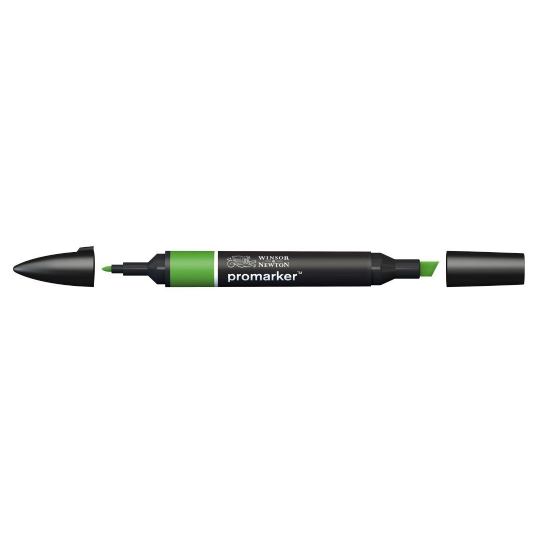 Winsor & Newton Promarker - Alcohol Based - Twin Tip Marker - Forest Green (G356)