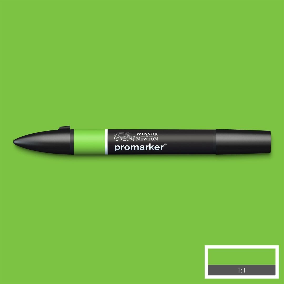 Winsor & Newton Promarker - Alcohol Based - Twin Tip Marker - Bright Green (G267)