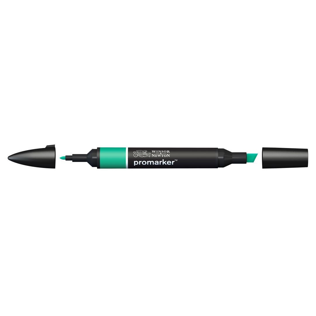 Winsor & Newton Promarker - Alcohol Based - Twin Tip Marker - Green (G847)