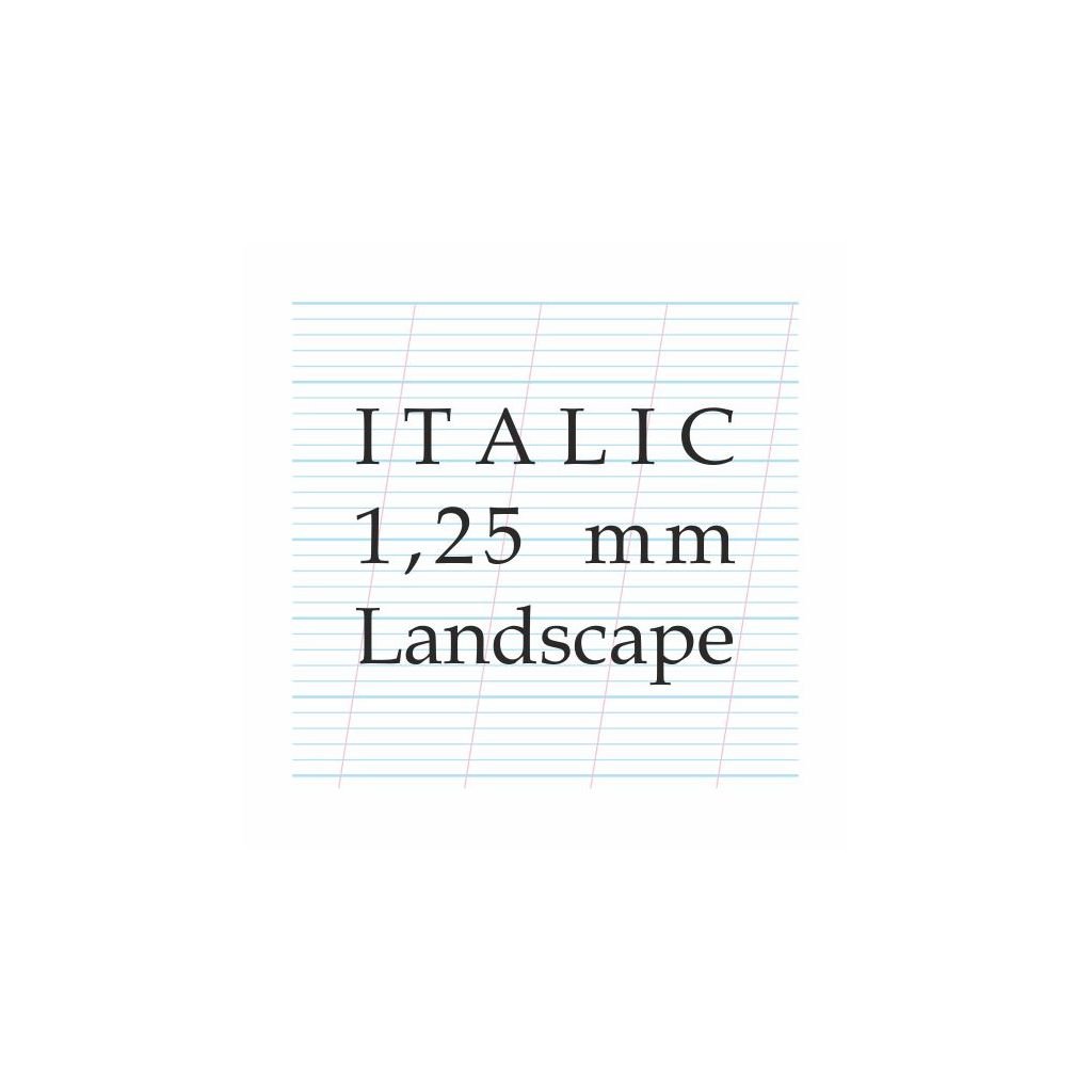 Art Essentials Calligraphy - 1.25 mm Italic, Landscape - A4 (21 cm x 29.7 cm) Natural White Extra Smooth 120 GSM Paper, Polypack of 10 Sheets