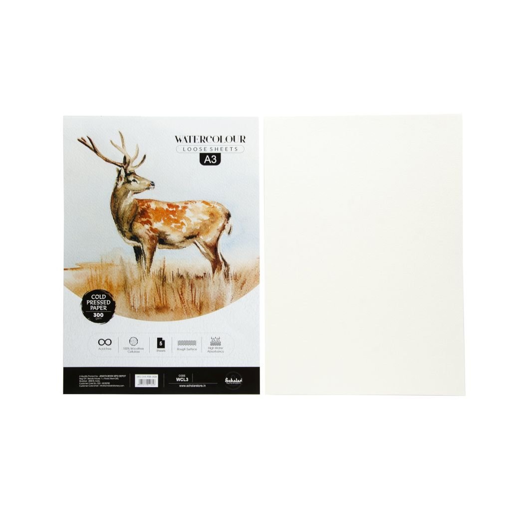 Scholar Artists' Watercolour - A3 (29.7 cm x 42 cm or 11.7 in x 16.5 in) Natural White Heavy Grain / Matt Surface / Cold Press 300 GSM 100% Wood Free Cellulose Cotton Paper, Poly Pack of 5 Sheets