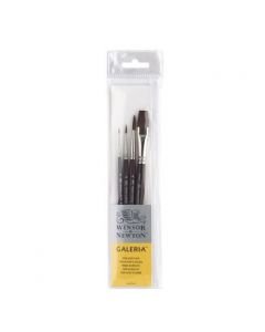 Winsor & Newton Galeria Synthetic Hair Brush - Assorted Sets